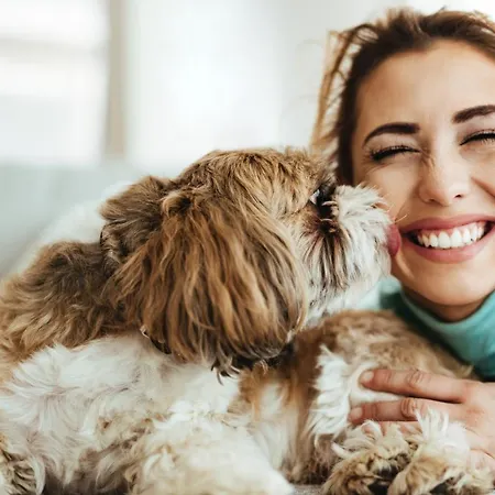 Hotel Revesz Hotel, Restaurant And Rosa 3*