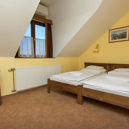 Hotel Revesz Hotel, Restaurant And Rosa