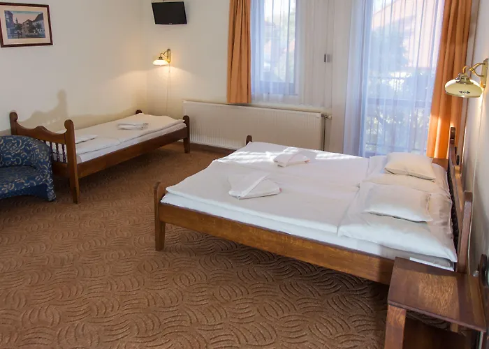 Hotel Revesz Hotel, Restaurant And Rosa