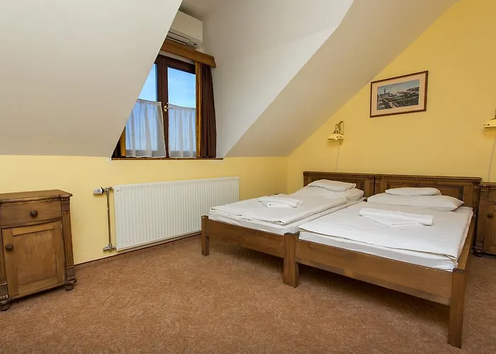 Hotel Revesz Hotel, Restaurant And Rosa